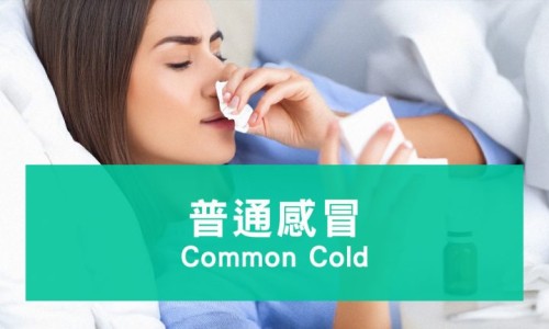 经期能吃鹅蛋吗女性-月经期间可以吃鹅蛋吗网-分享来大姨妈可以吃鹅蛋吗，月经期间可以吃鹅蛋吗女性知识库