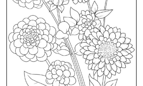 怀孕可以吃花椒油吗？怀孕吃什么比较好