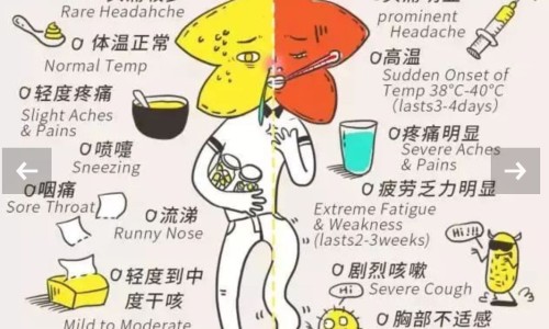 经期能吃鹅蛋吗女性-月经期间可以吃鹅蛋吗网-分享来大姨妈可以吃鹅蛋吗，月经期间可以吃鹅蛋吗女性知识库